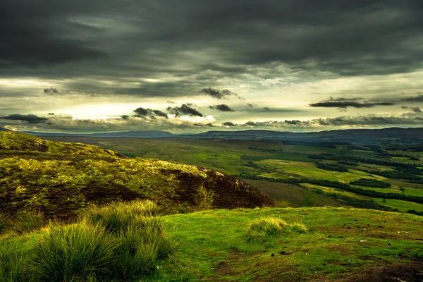 Malowniczy Krajobraz Zielonych Pastwisk Lasów Loch Lomond Szkocji — Zdjęcie stockowe