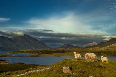 Iskoçya 'Da manzara kırsal peyzaj Rocky Hill üstüne koyun