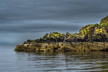 Iskoçya sahilinde bir mührü ve bir mühür Ile bir uyuyan ejderha bir kafa şeklinde kayalıklar