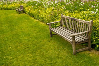 Boş Bench Park renkli çiçek çayır ile çevrili