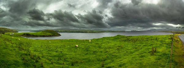 Grüne Weide Mit Schafen Der Atlantikküste Auf Der Insel Skye — Stockfoto