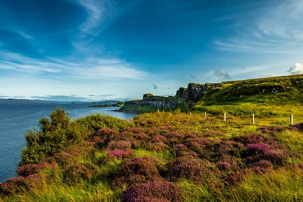Прибрежный Пейзаж Хизер Рядом Килт Рок Острове Скай Шотландии — стоковое фото