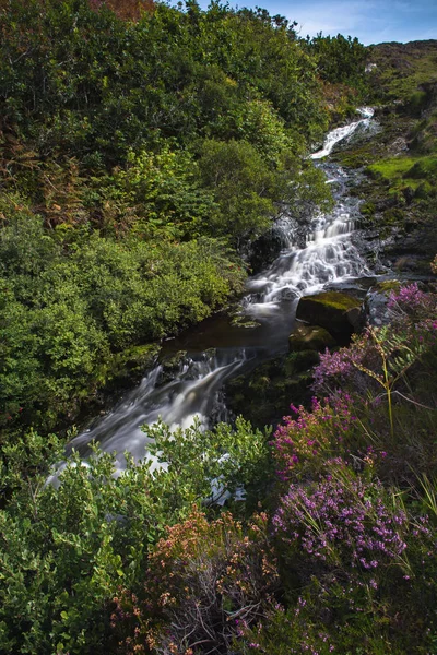 Řeka Moula Kaskádě Malebném Údolí Květinami Ostrově Skye Skotsku — Stock fotografie