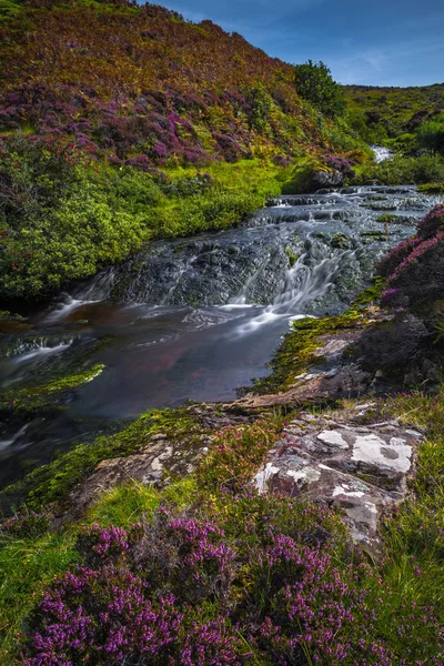在苏格兰的斯凯岛上 在风景秀丽的山谷中 带着鲜花的河流 — 图库照片