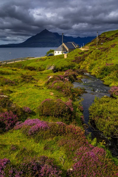 Manzara kıyı manzara Ile dağ nehir içinde pitoresk vadi Ile Flowers ve köprü üzerinde the Isle of Skye Içinde Scotland