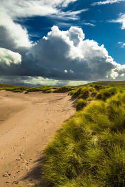 Iskoçya 'Da kumlu Achnahaird plajında manzaralı Dune Landscape