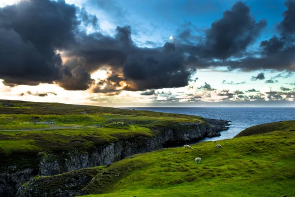 Kanyon Smoo Mağara Ile Alacakaranlık Atlantic Coast Içinde Koyun Flock — Stok fotoğraf