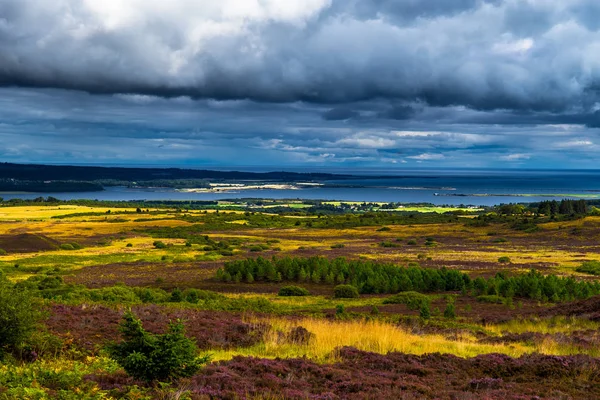 Schilderachtige Landschap Omgeving Van Met Brug Van Firth Schotland — Stockfoto