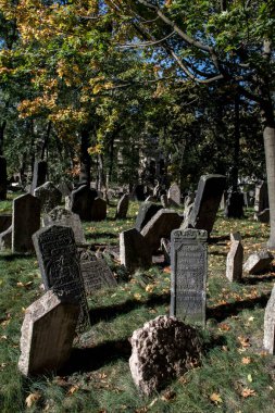 Çek Cumhuriyeti Prag 'daki Yahudi Mezarlığı' ndaki Eski Yıpranmış Mezar Taşları