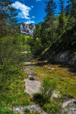 Avusturya, Oetschergraeben 'deki Yeşil Kanyon' daki Vahşi Dağ Nehri