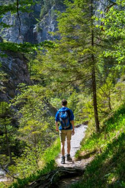 Avusturya 'da Oetschergraeben' de Yürüyüş Yolu 'nda Genç Adam Yürüyor