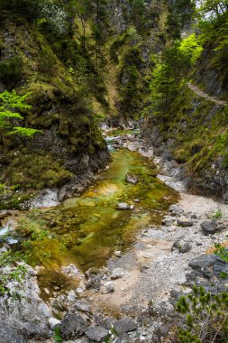 Avusturya, Oetschergraeben 'deki Yeşil Kanyon' daki Vahşi Dağ Nehri