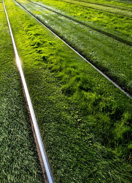 緑の芝生の牧草地を通って光沢のあるスチールレール — ストック写真