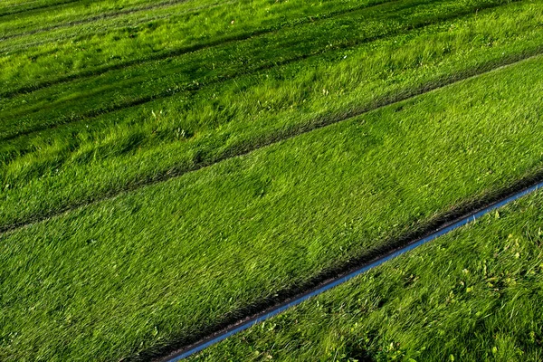 Yeşil Çimen Çayırında Parlak Çelik Raylar — Stok fotoğraf