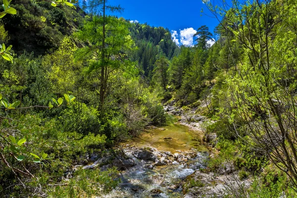 Clear Wild Mountain River Green Canyon Oetschergraeben Austria — Stock fotografie