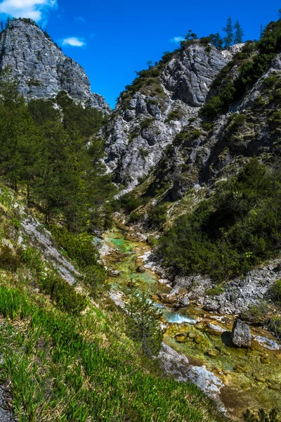 Clear Wild Mountain River Green Canyon Oetschergraeben Austria — Stock Photo, Image