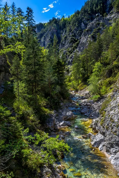 Clear Wild Mountain River Green Canyon Oetschergraeben Austria — Stock Photo, Image