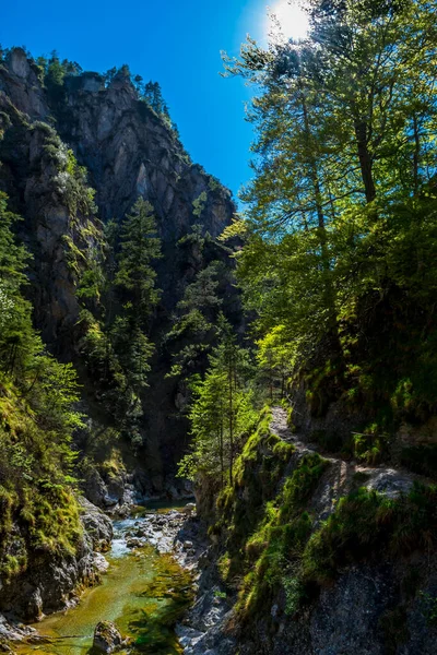 Hiking Trail Wild Mountain River Oetschergraeben Austria — Stock Photo, Image