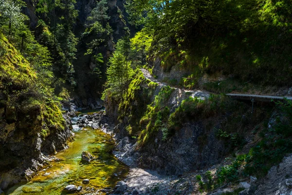 Turistická Stezka Pod Divokou Horskou Řekou Rakouském Oetschergraebenu — Stock fotografie