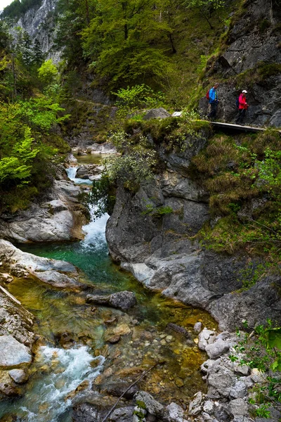 Lidé Turistika Pod Čistou Divokou Horskou Řekou Zeleném Kaňonu Oetschergraebenu — Stock fotografie