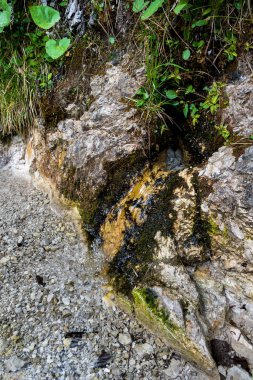 Berrak ve taze su dağdan nehre akıyor.