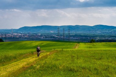 İnsan dağ bisikletine biniyor Avusturya 'da Viyana' nın Skyline 'ının önünde kırsal alanda