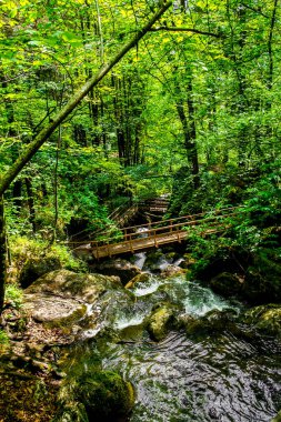 Avusturya 'daki Myraflle' de Şelale üzerinden tahta köprü ile yürüyüş yolu.