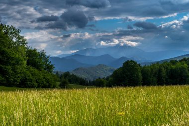 Avusturya 'daki Alp Dağları ve kırsal alanlar