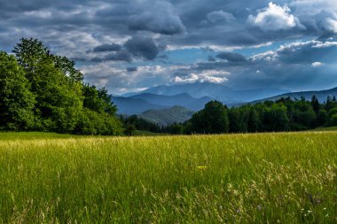 Avusturya 'daki Alp Dağları ve kırsal alanlar