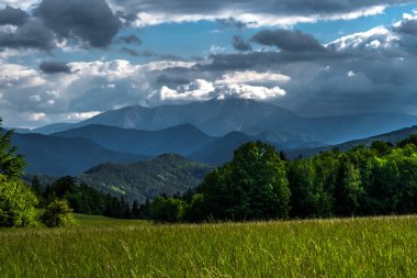 Avusturya 'daki Alp Dağları ve kırsal alanlar