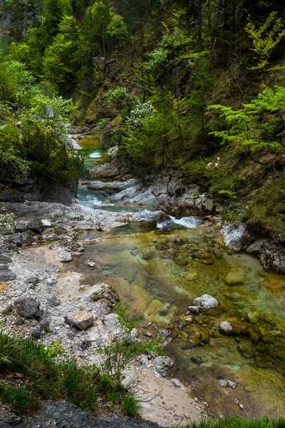 Clear Wild Mountain River Green Canyon Oetschergraeben Austria — Stock fotografie