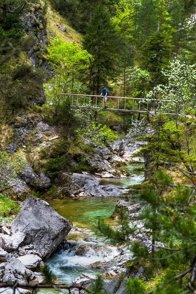 Mladý Muž Stojí Mostě Přes Čistou Divokou Horskou Řeku Zeleném — Stock fotografie