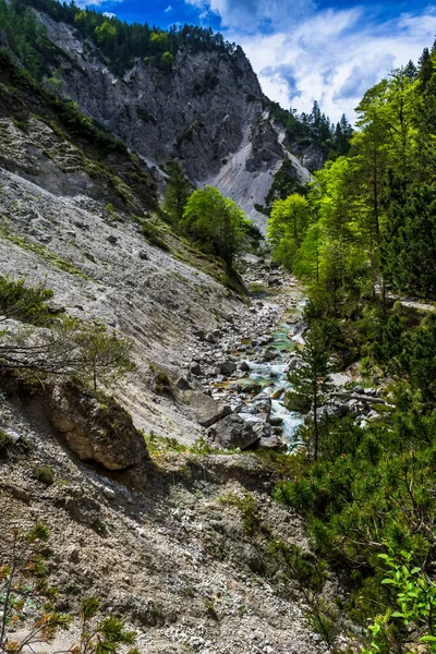 Διαδρομή Πεζοπορίας Κάτω Από Τον Ποταμό Wild Mountain Στο Oetschergraeben — Φωτογραφία Αρχείου