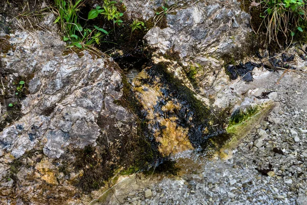 Klares Und Frisches Wasser Fließt Von Der Bergquelle Den Fluss — Stockfoto