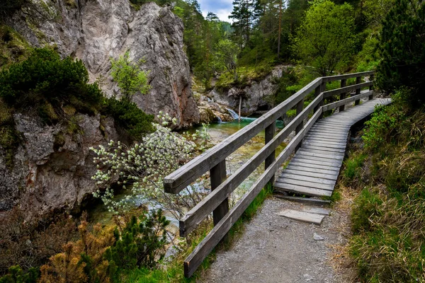 Turistická Stezka Pod Divokou Horskou Řekou Rakouském Oetschergraebenu — Stock fotografie