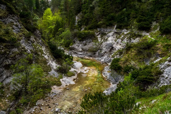 Turistická Stezka Pod Divokou Horskou Řekou Rakouském Oetschergraebenu — Stock fotografie