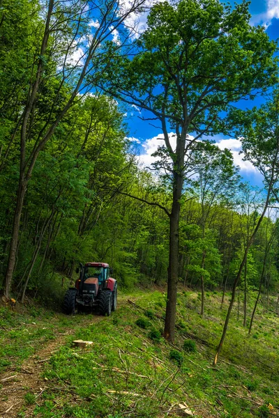 Tractor Forestry Work Narrow Path Trees — Stock Photo, Image