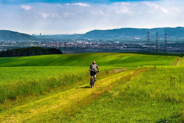 Man Rides Mountainbike Rural Landscape Front Skyline Vienna Austria — Stock Photo, Image