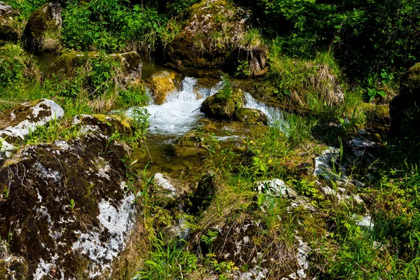 Clear Mountain Creek Sladkou Vodou Přes Skály Vegetací — Stock fotografie