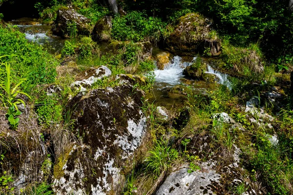 Ruisseau Clear Mountain Avec Eau Douce Sur Les Roches Végétation — Photo