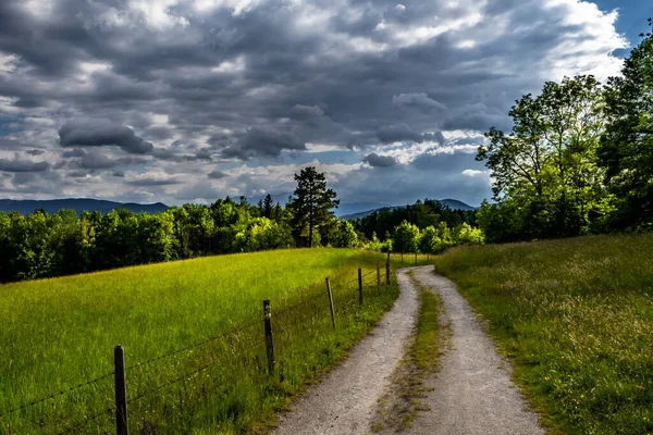 Gravel Road Wooden Fence Rural Landscape Rainy Weather Austria — Stock Photo, Image