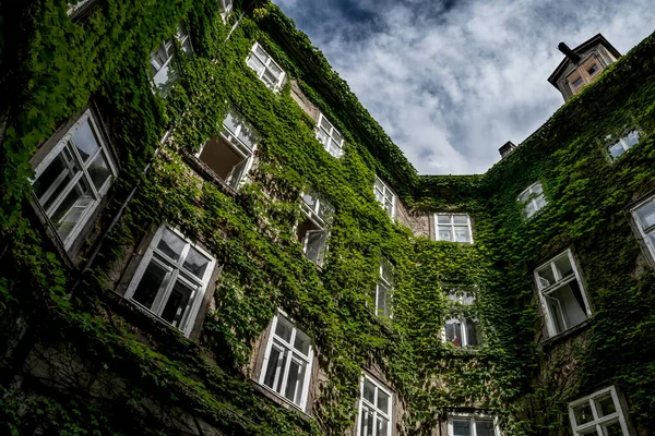 Courtyard Historic Building Wooden Doors Ivy Overgrown Walls — 스톡 사진