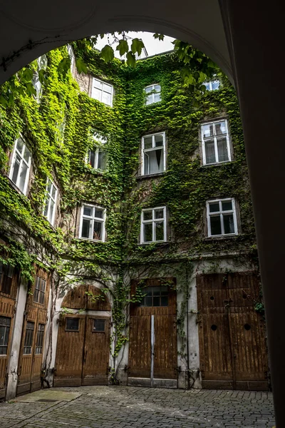 Courtyard Historic Building Wooden Doors Ivy Overgrown Walls — Stock Photo, Image