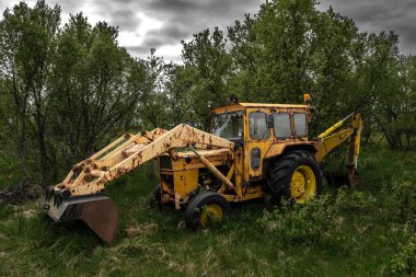 Kırsal Arazide Orman ve Çayırlı Paslı Sarı Kazıcı 
