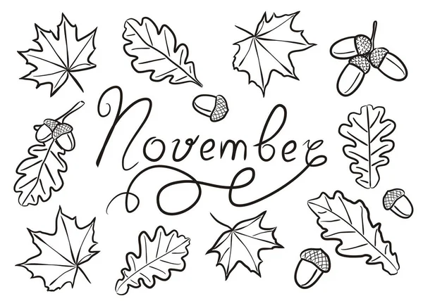 Handgezeichnete Novemberelemente Isoliert Auf Weißem Hintergrund Herbstsymbole Doodle Stil Ahorn — Stockvektor