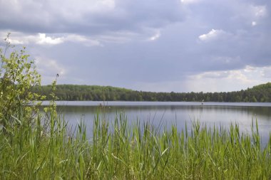 Orman Gölü yaz aylarında
