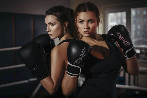 Přizpůsobit Štíhlé Mladé Krásné Bruneta Ženy Boxu Sportswear Temné Tlumené — Stock fotografie