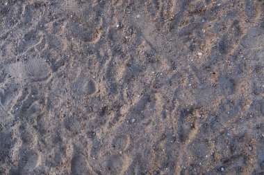 Deniz kıyısının dokusu. Geçmişi. Üst görünüm