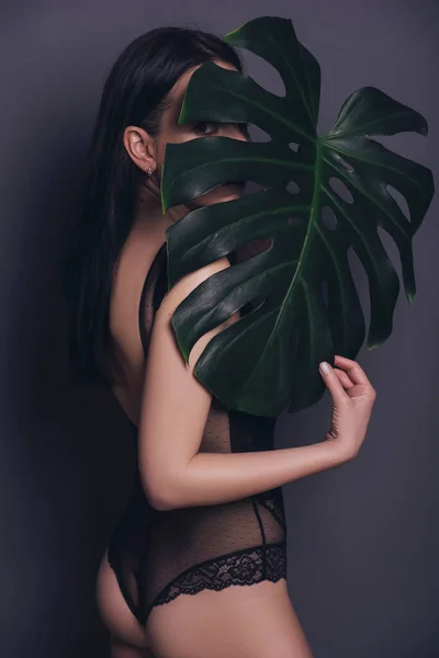 Brunette Slanke Vrouw Sexy Outfit Een Neutrale Achtergrond Studio Portret — Stockfoto