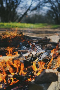 Ormanda kırmızı şenlik ateşi ve duman